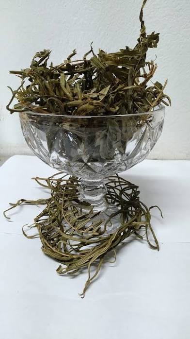 Kalawalla aka Calaguala herb